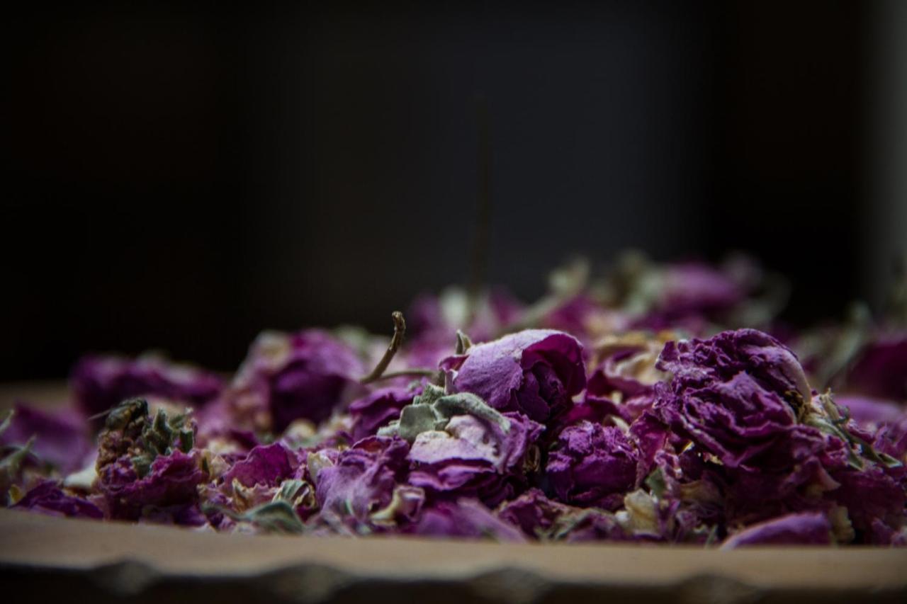 Riad Tama & Spa Varzazate Kültér fotó