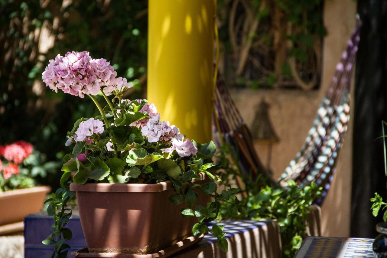 Riad Tama & Spa Varzazate Kültér fotó